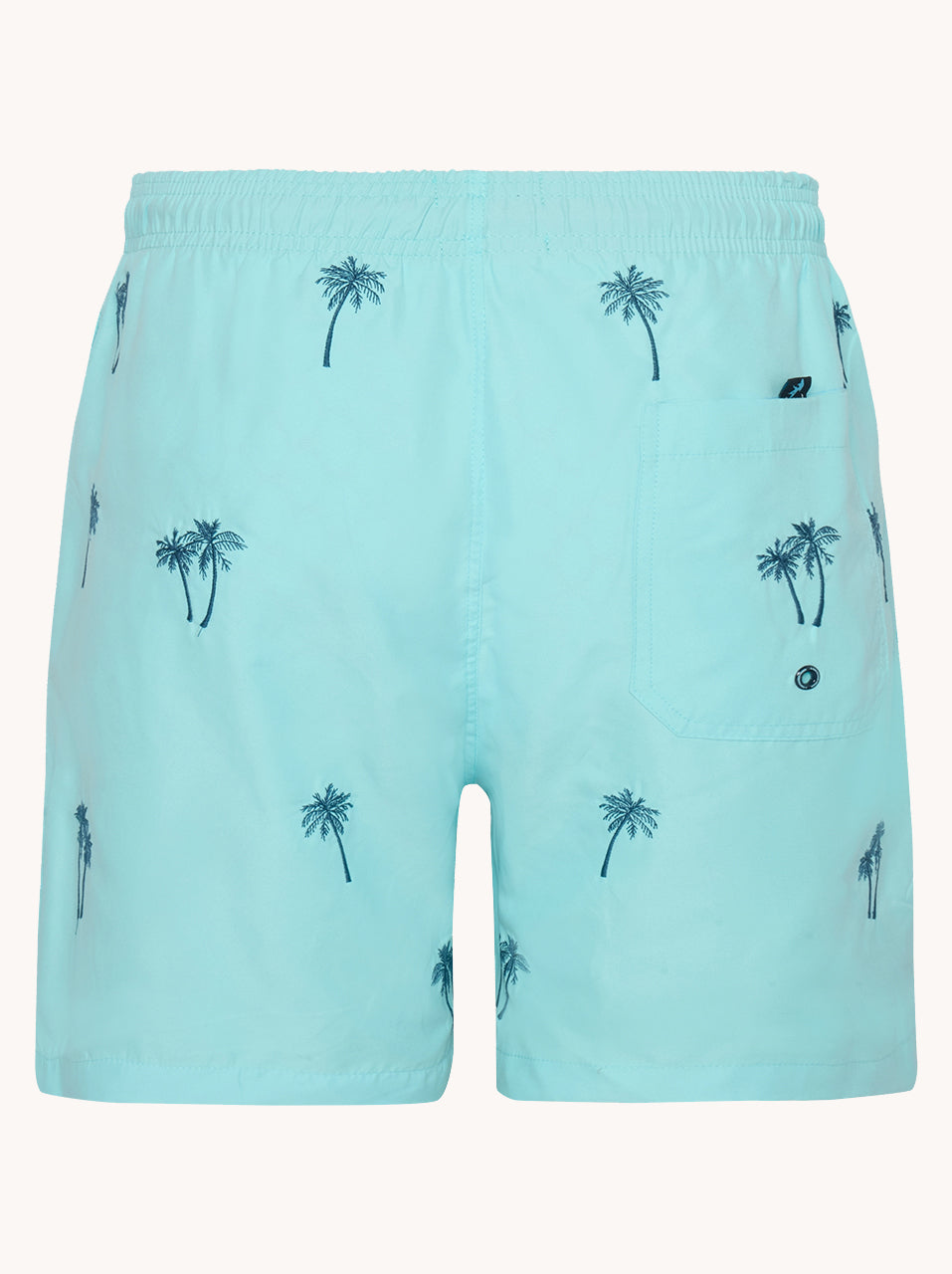 Swimshort palm tree