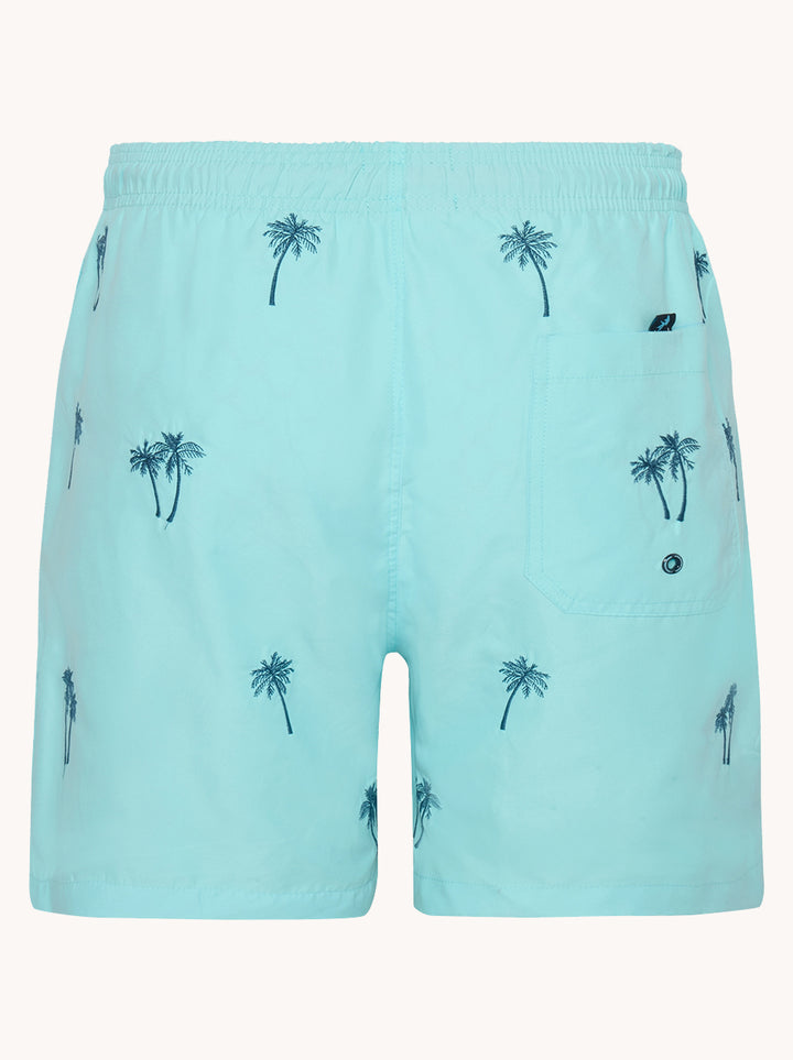 Swimshort palm tree