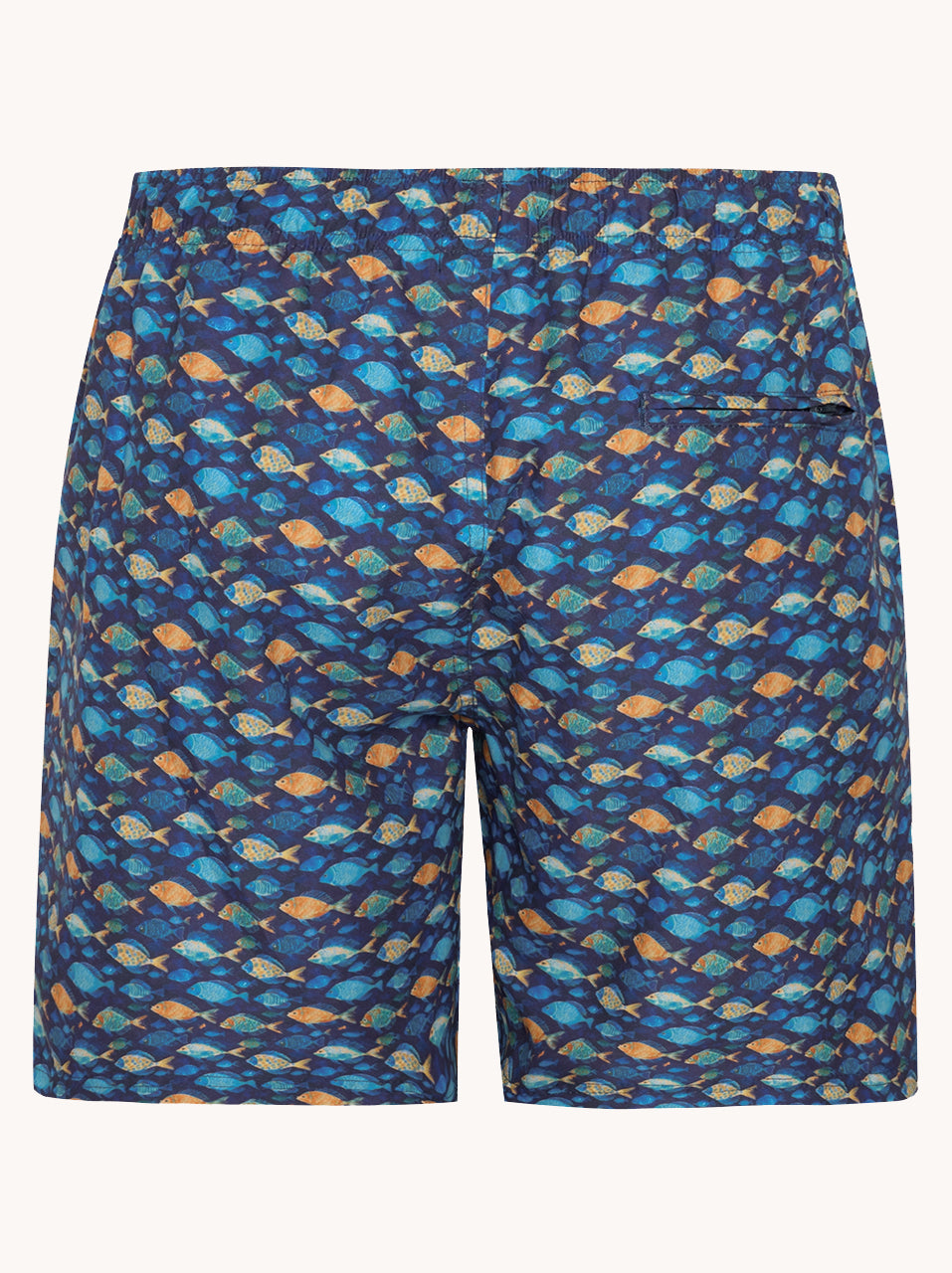 Swimshort fish