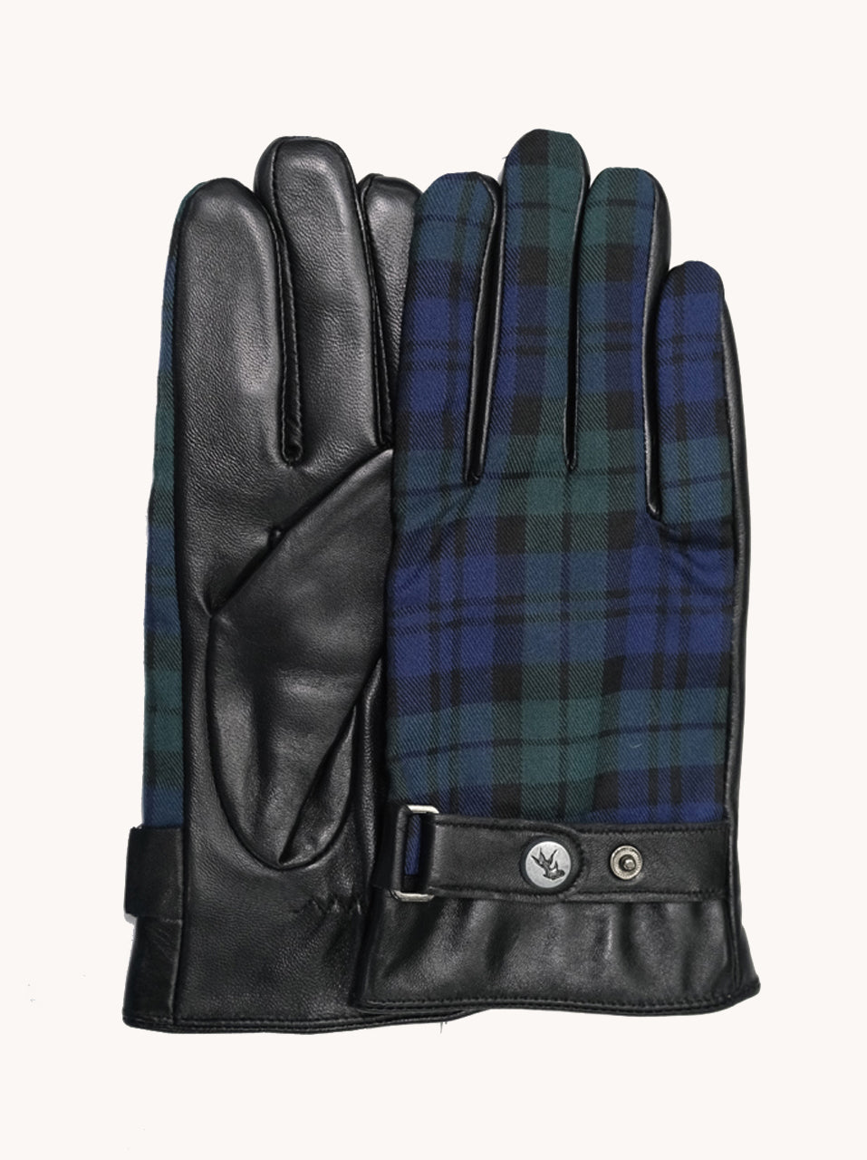 Handschuhcheck