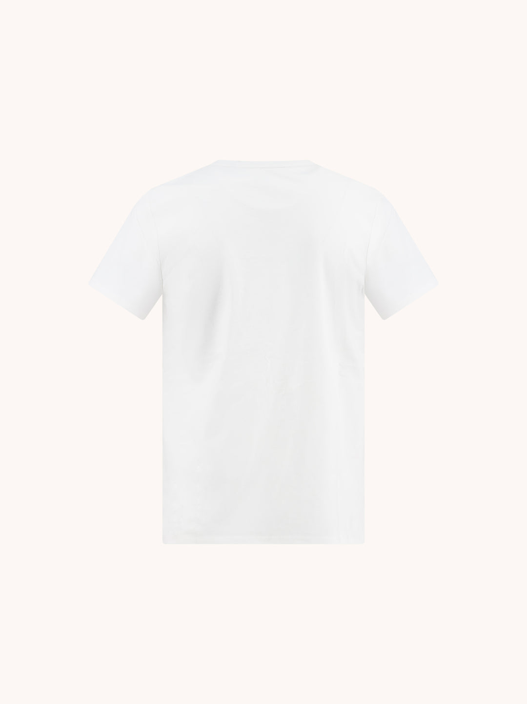 T-Shirt Fish Print (boy)