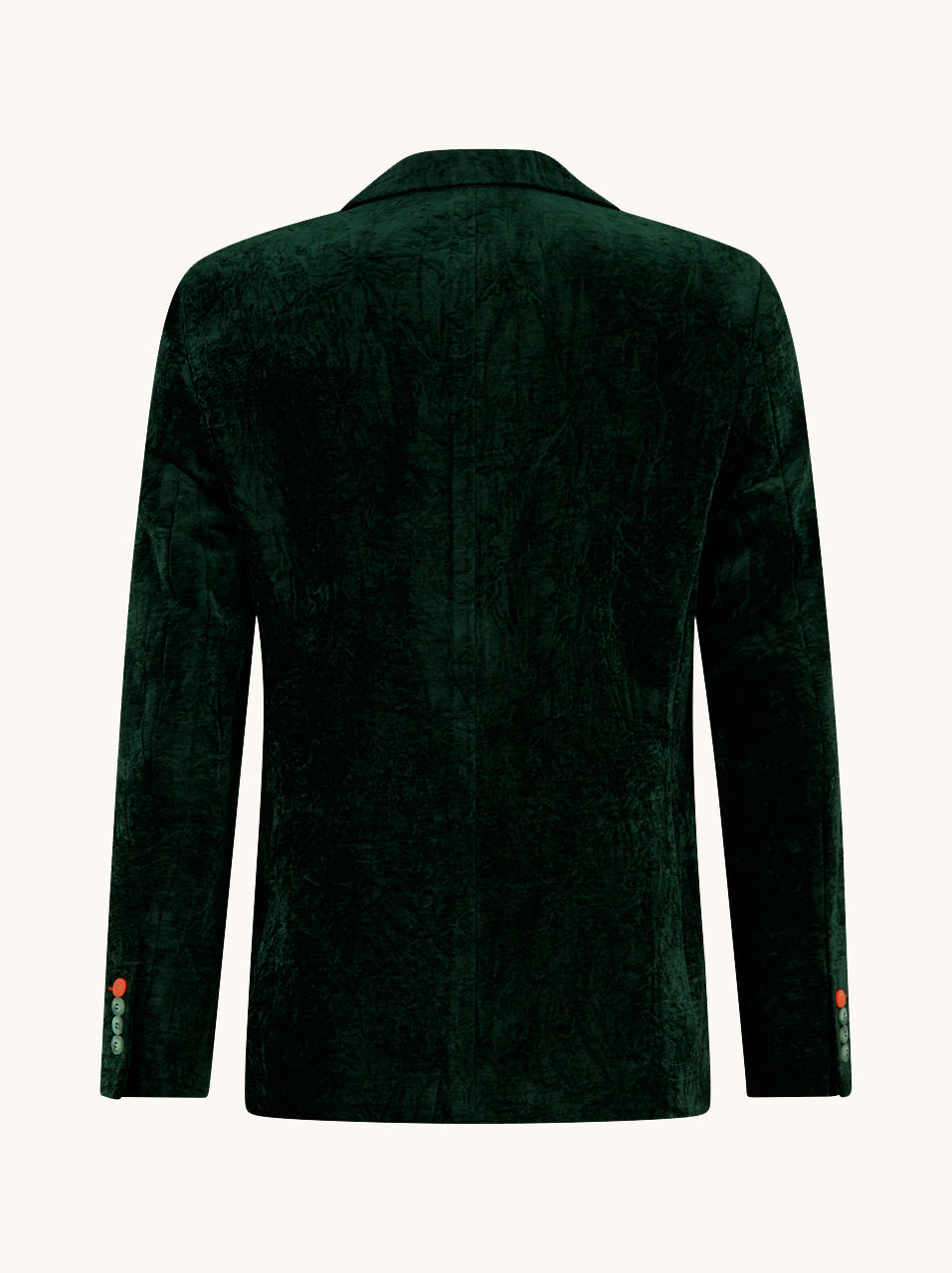 Blazer velvet