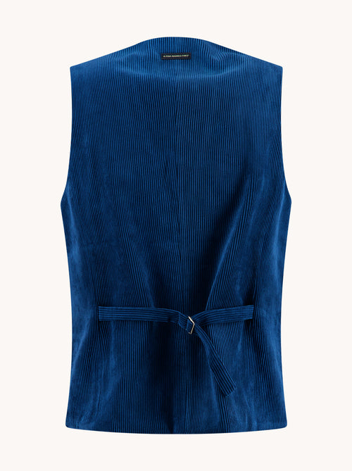 A Fish Named Fred men's Rib waistcoat in Cobalt, back view