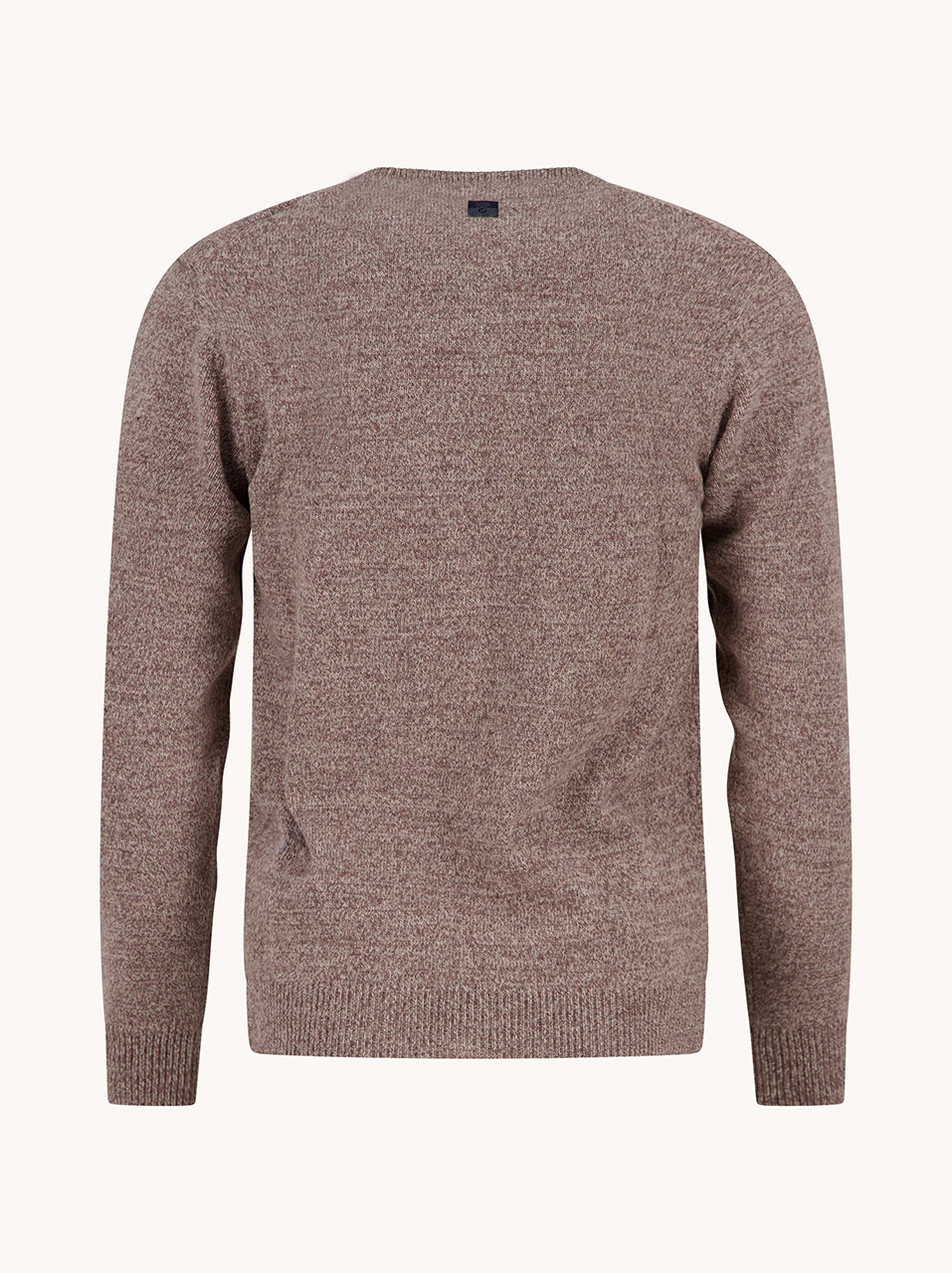 A Fish Named Fred men's Pullover Classic in Sand, back view