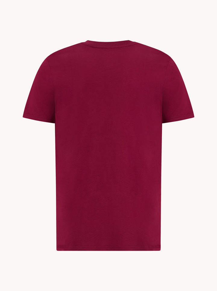 T-shirt A fish named Fred logo